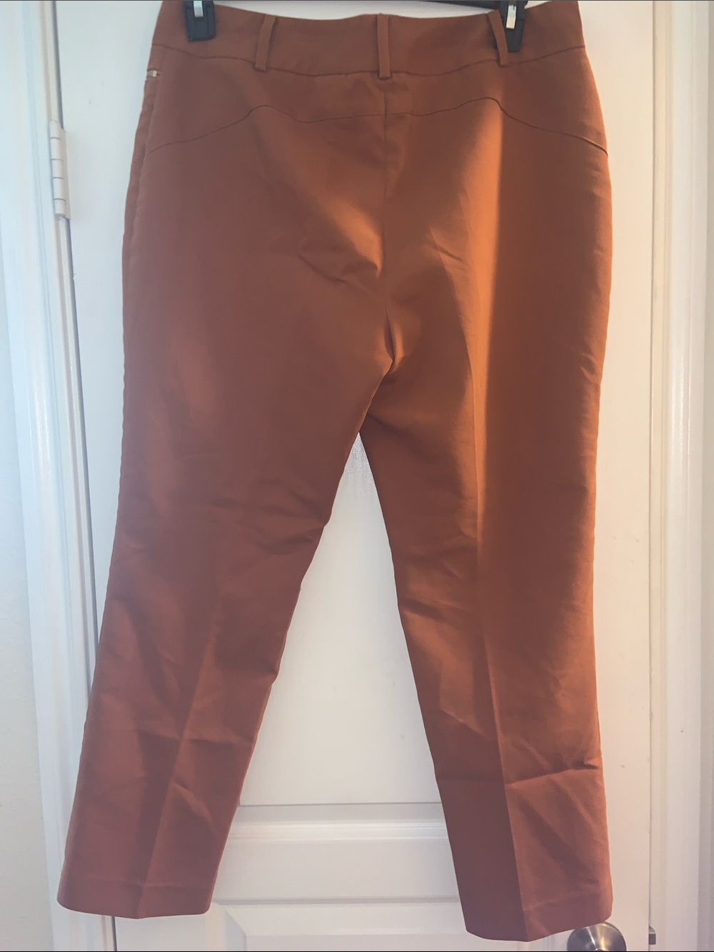 Chaus Rust Straight-Leg Ponte Pants with Zip Accents - Picture 6 of 8